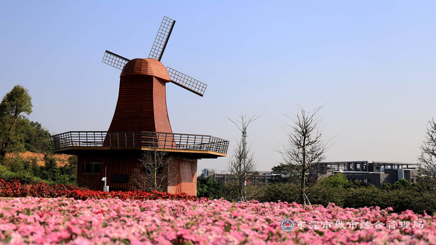 东莞植物园专类园建成正式向市民开放