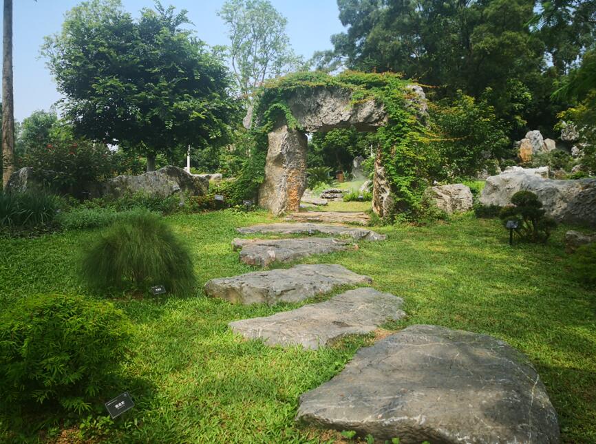 岩石園_專類園區_東莞植物園